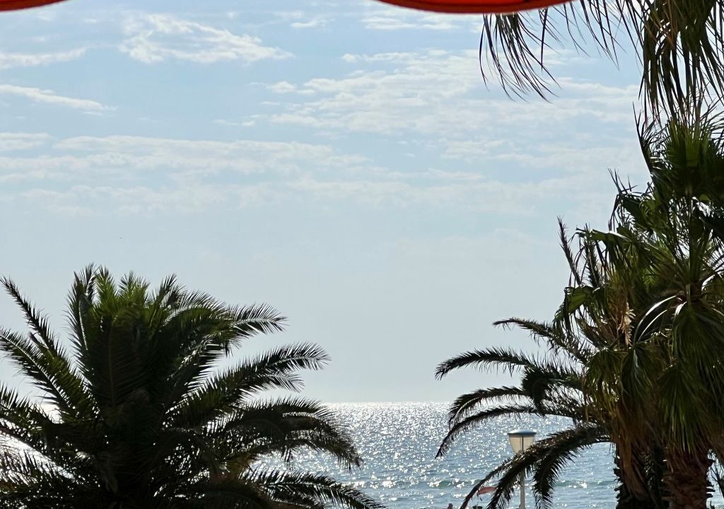 Photo of Others in La Cote Radieuse