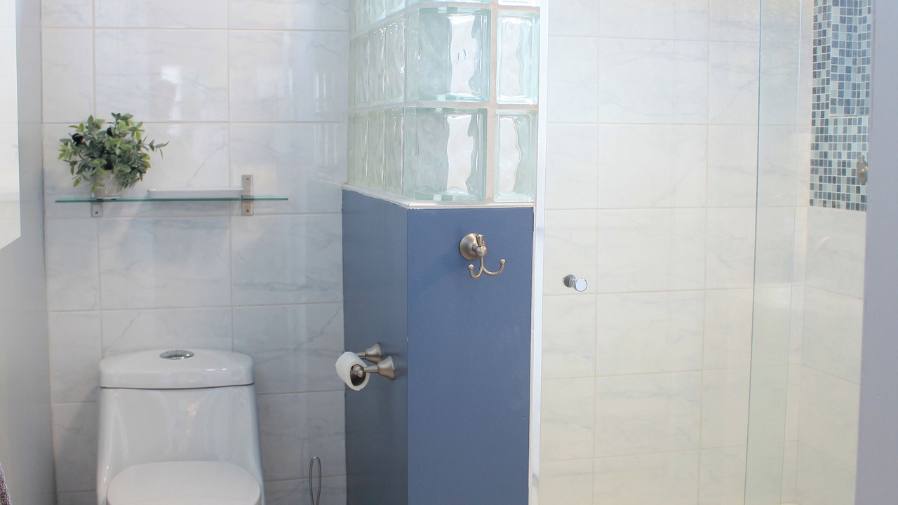 Photo of Others in Lacey