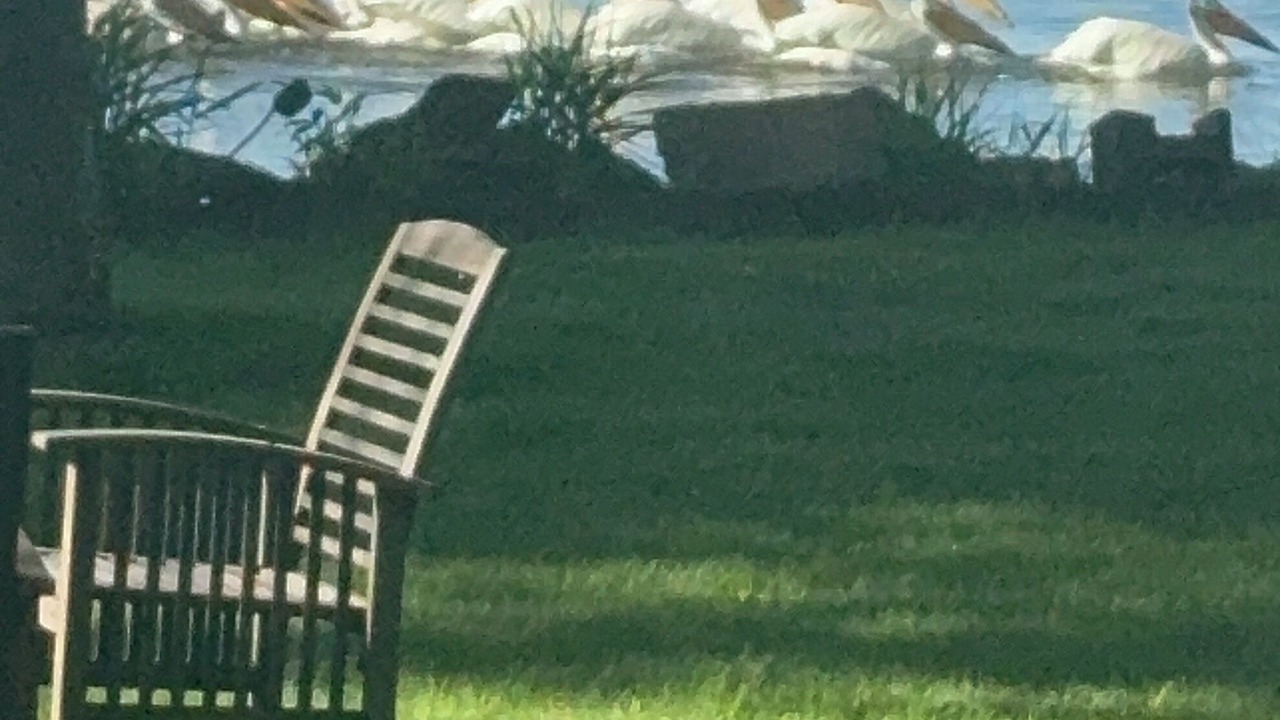 Photo of Outdoor in Fox Crossing
