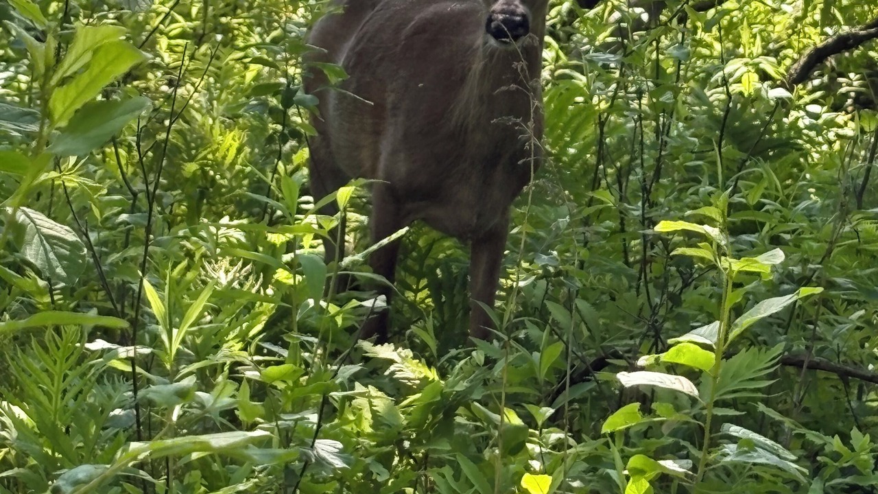 Photo of Others in Fox Crossing