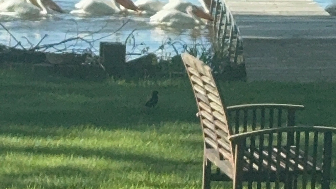 Photo of Outdoor in Fox Crossing