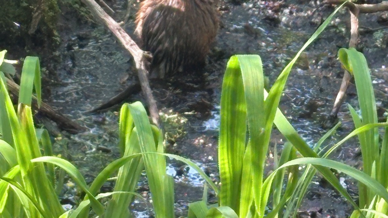 Photo of Others in Fox Crossing