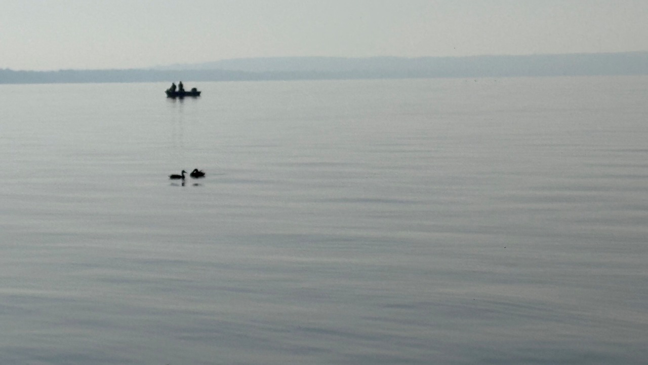 Photo of Others in Fox Crossing