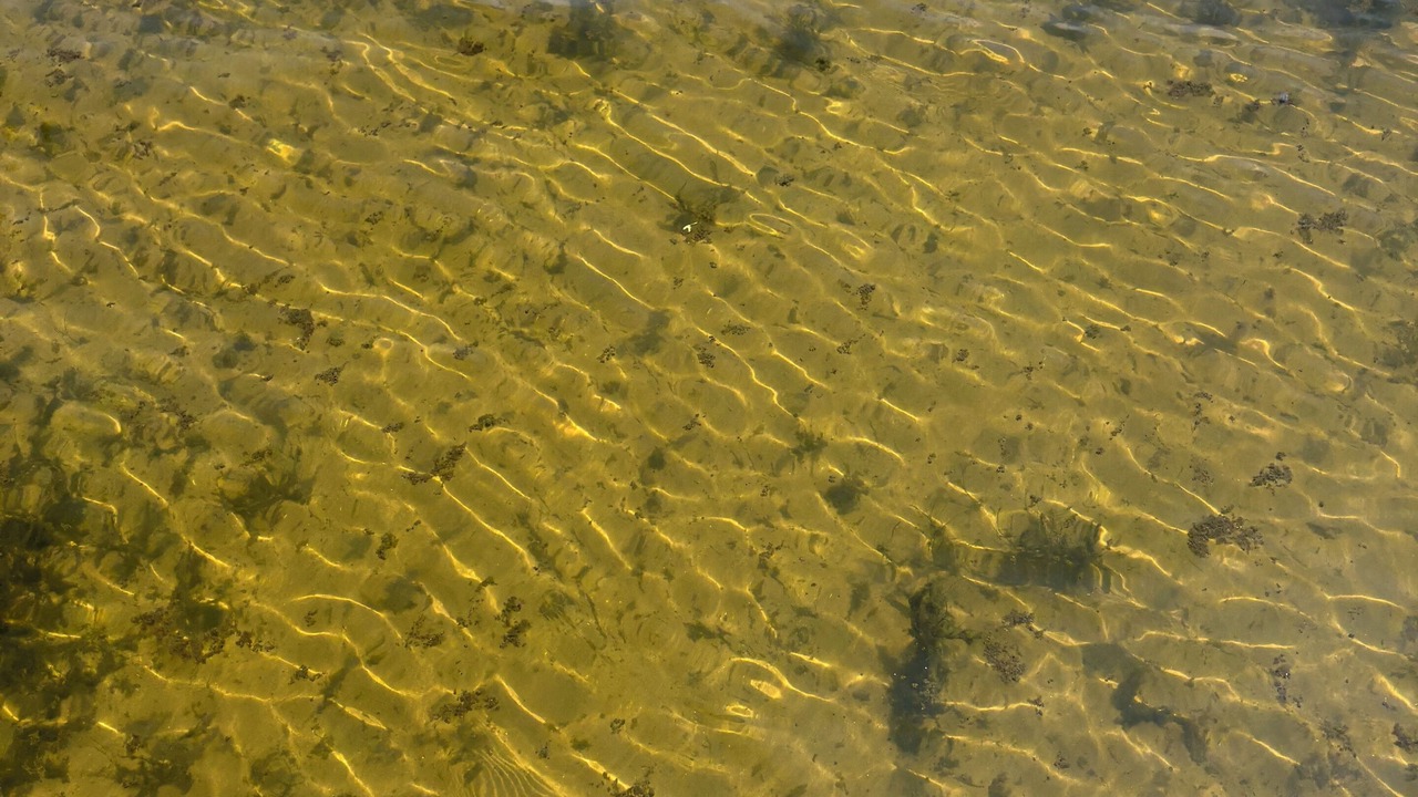 Photo of Others in Fox Crossing