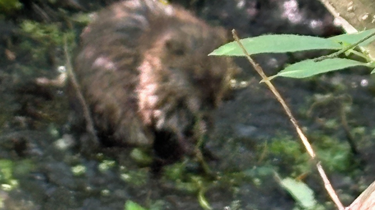 Photo of Others in Fox Crossing
