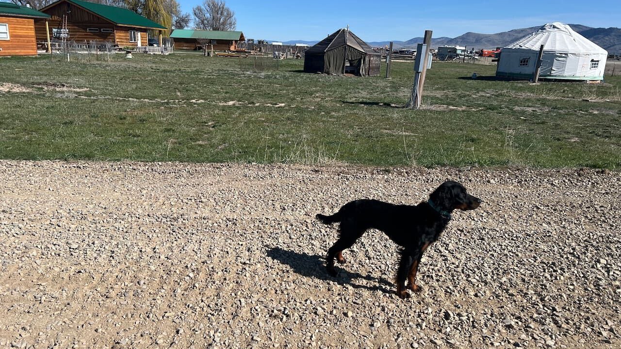 Photo of Others in Hot Springs