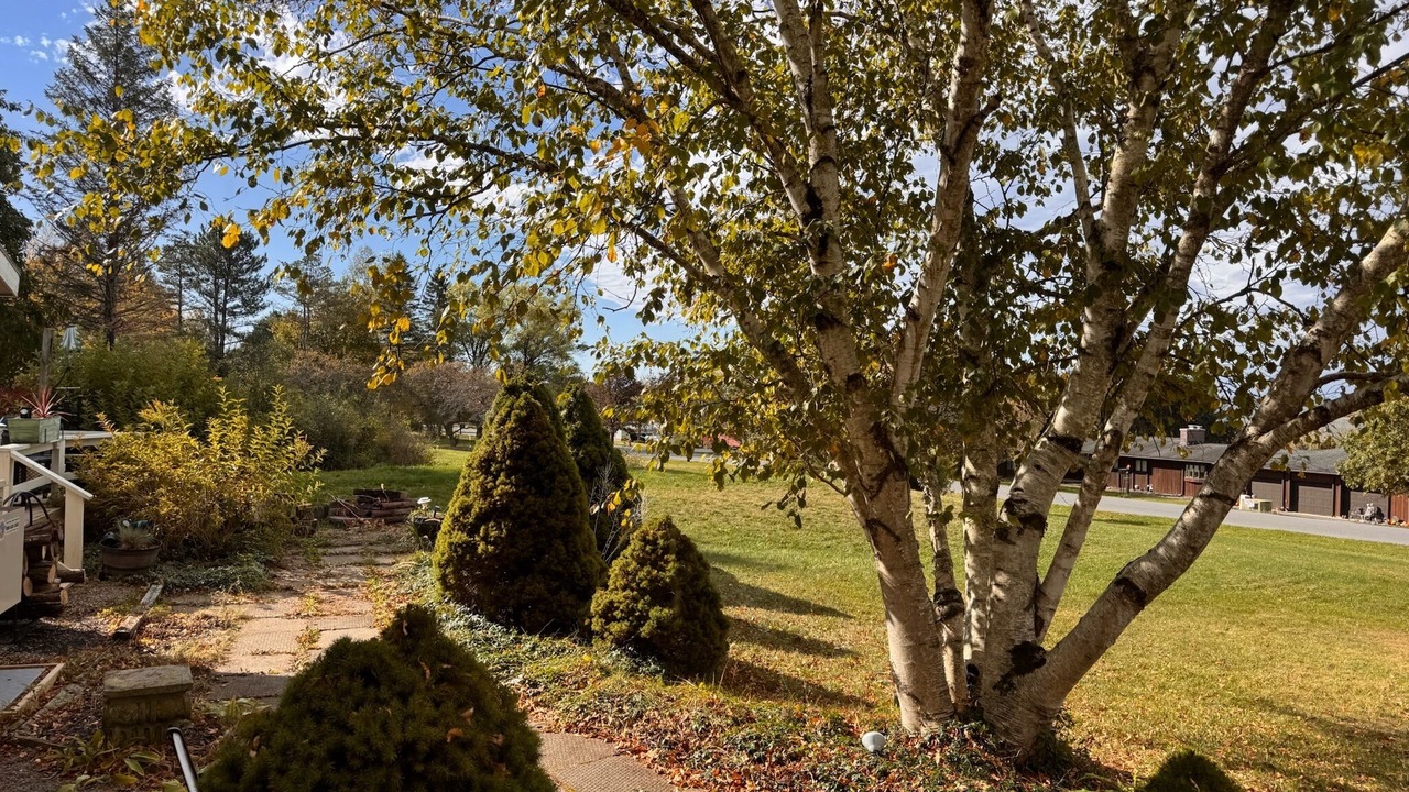 Photo of Outdoor in Ithaca