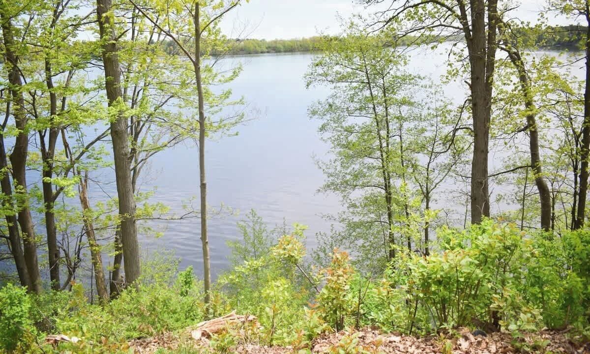 Photo of Others in Rib Mountain