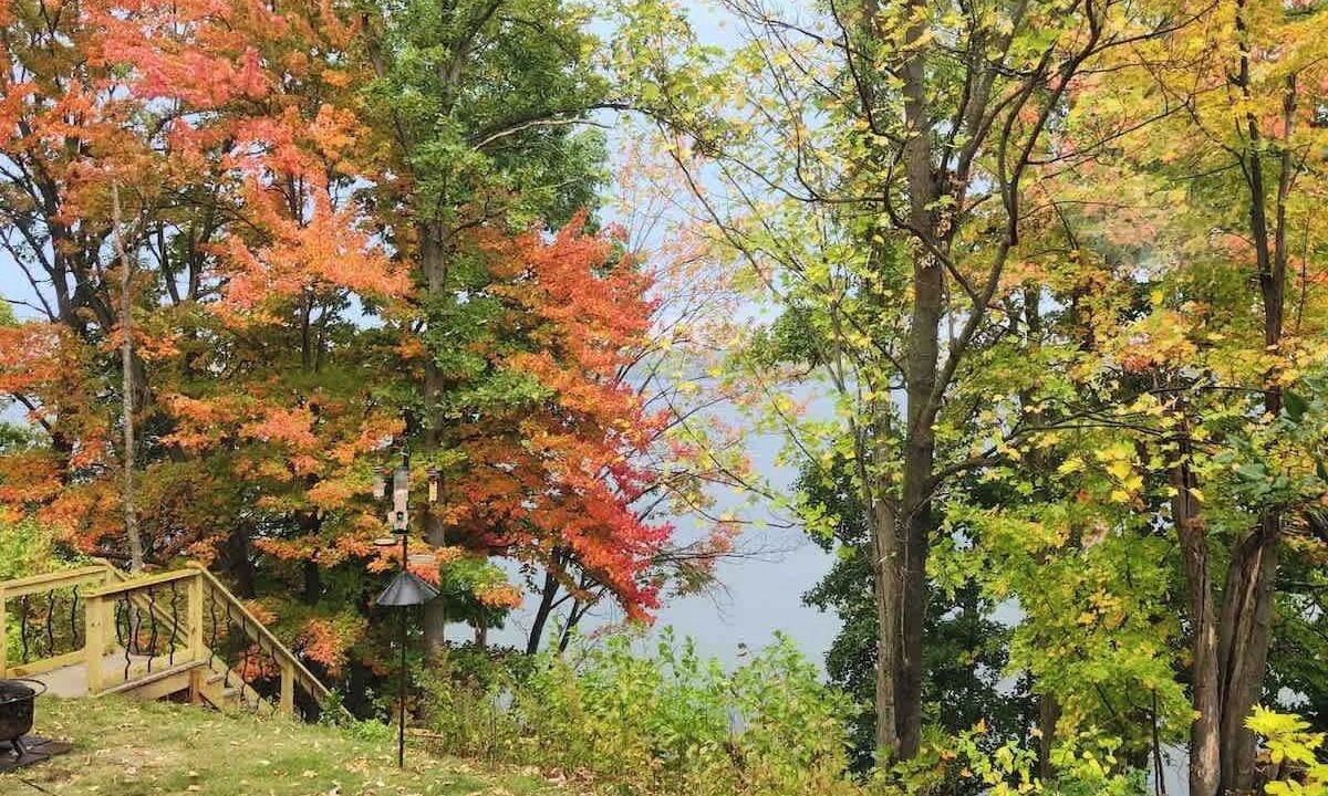 Photo of Others in Rib Mountain