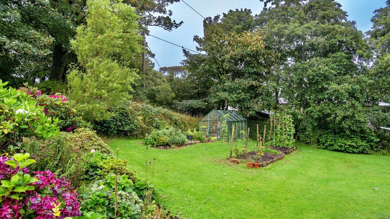 Photo of Outdoor in Boscastle