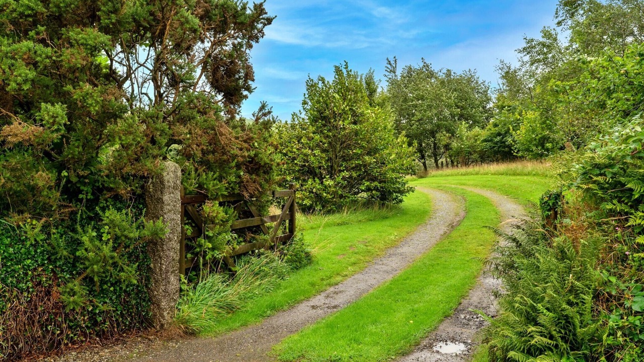 Photo of Outdoor in Boscastle
