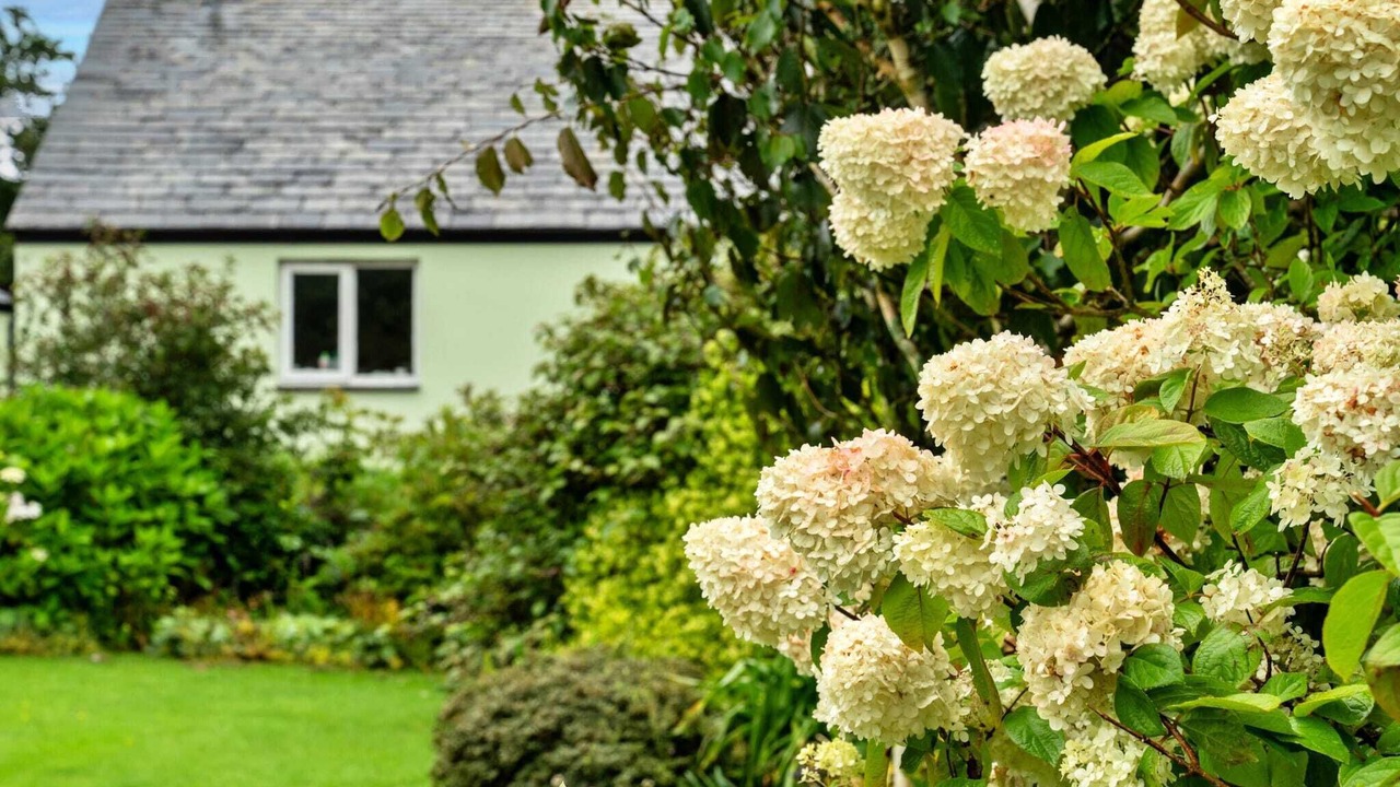 Photo of Outdoor in Boscastle