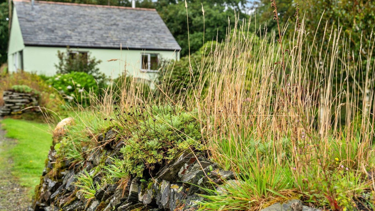 Photo of Outdoor in Boscastle