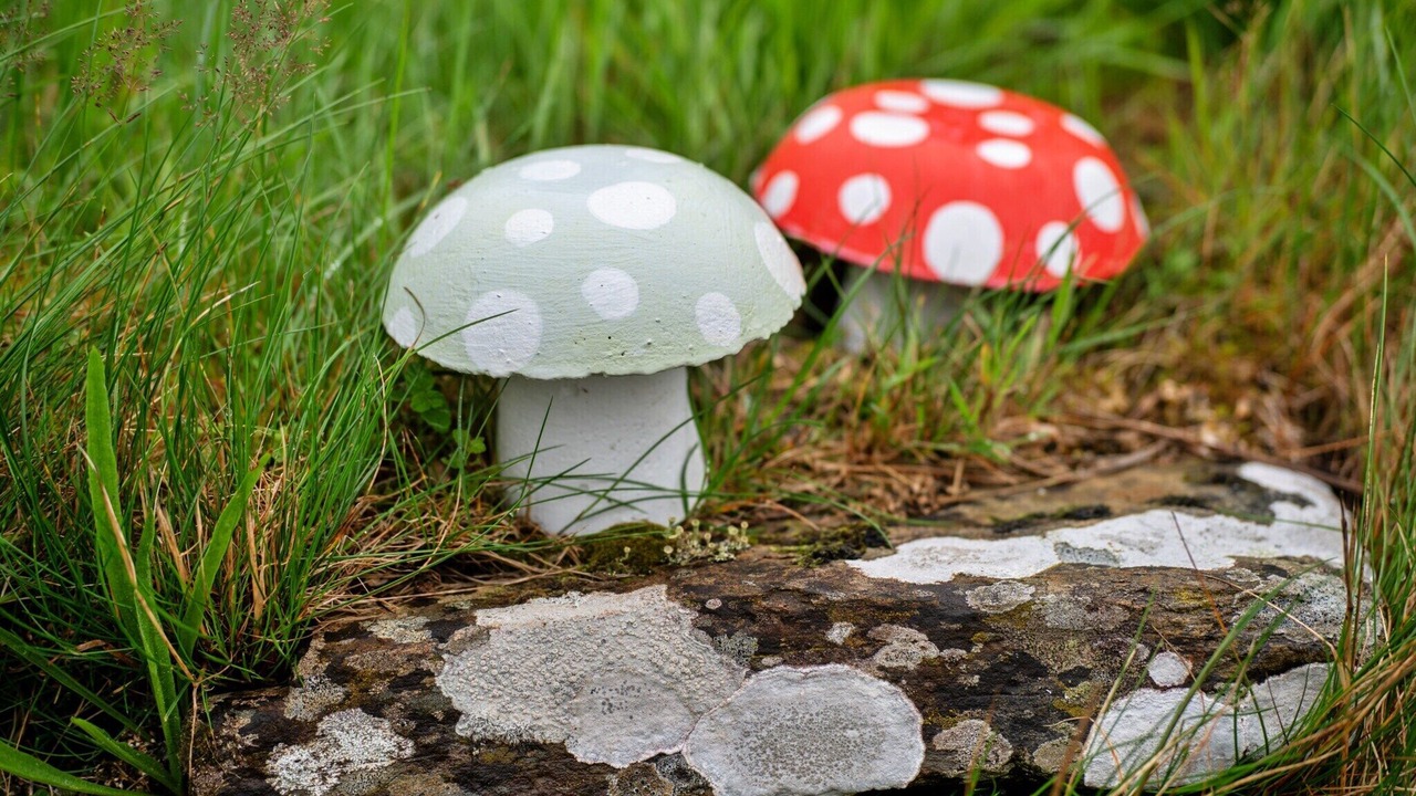 Photo of Others in Boscastle
