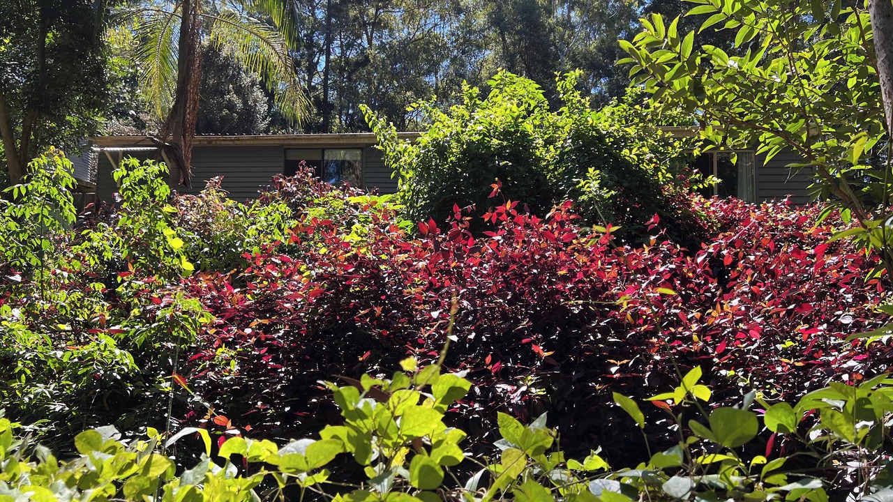 Photo of Outdoor in Bridges