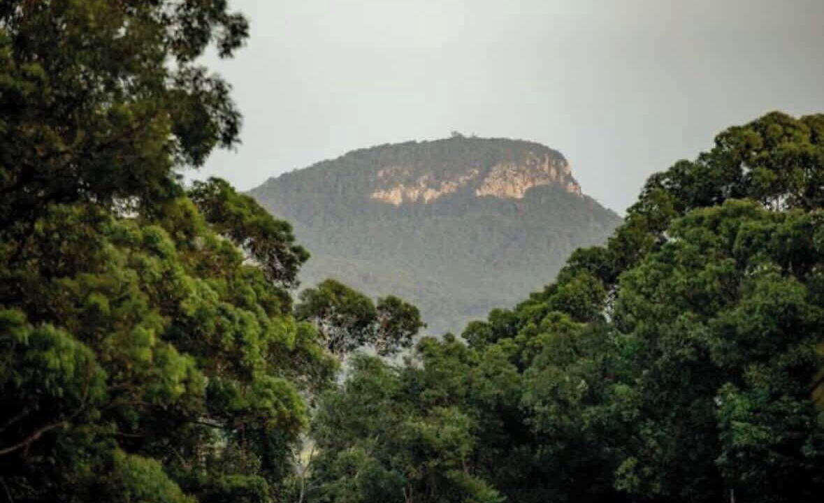Photo of Others in Bridges