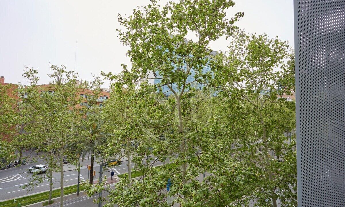 Photo of Others in Provencals del Poblenou