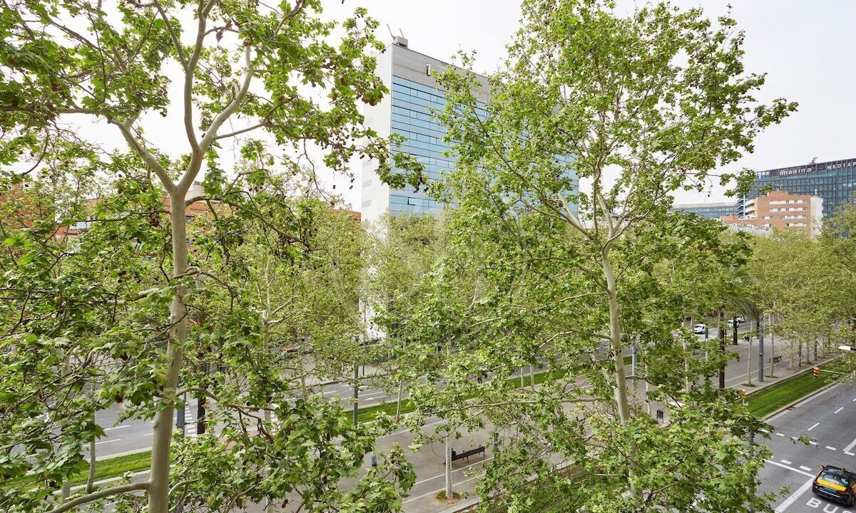 Photo of Others in Provencals del Poblenou