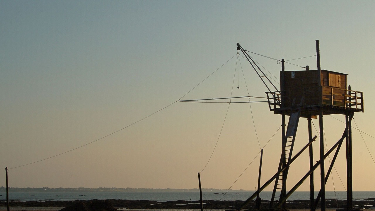 Photo of Others in Port-Saint-Pere