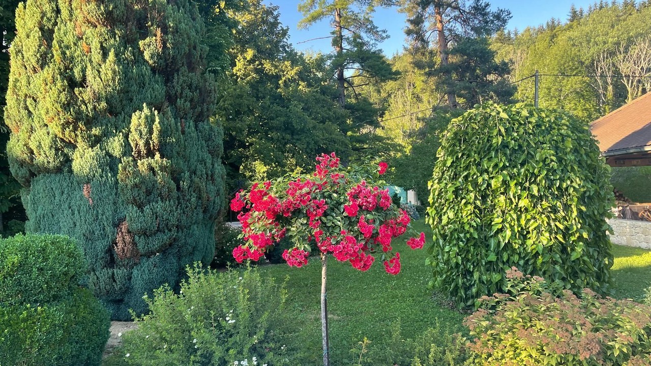 Photo of Outdoor in Entre-deux-Guiers