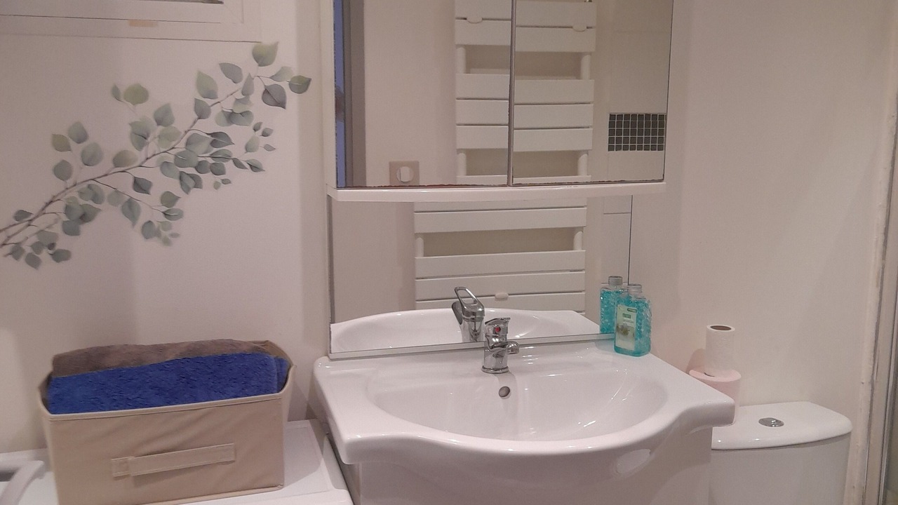 Photo of Bathroom in Centre Historique