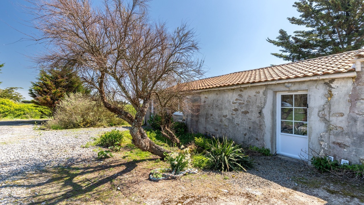 Photo of Outdoor in Bouin