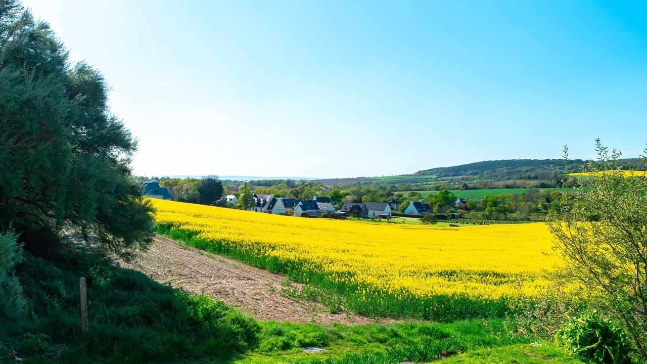 Photo of Others in Plomodiern
