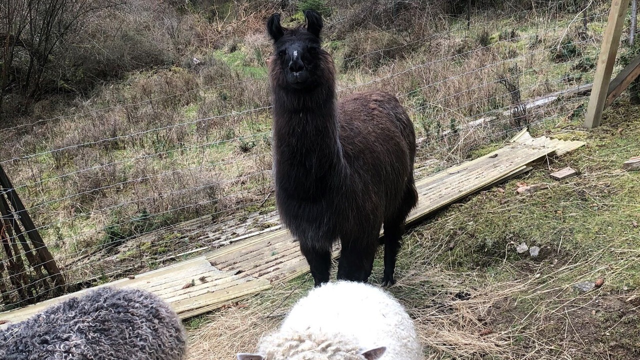 Photo of Others in Eastsound