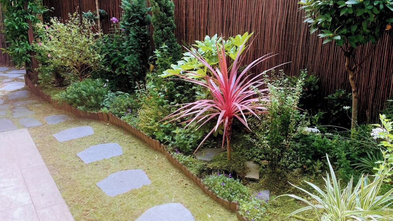 Photo of Outdoor in Saint-Cloud