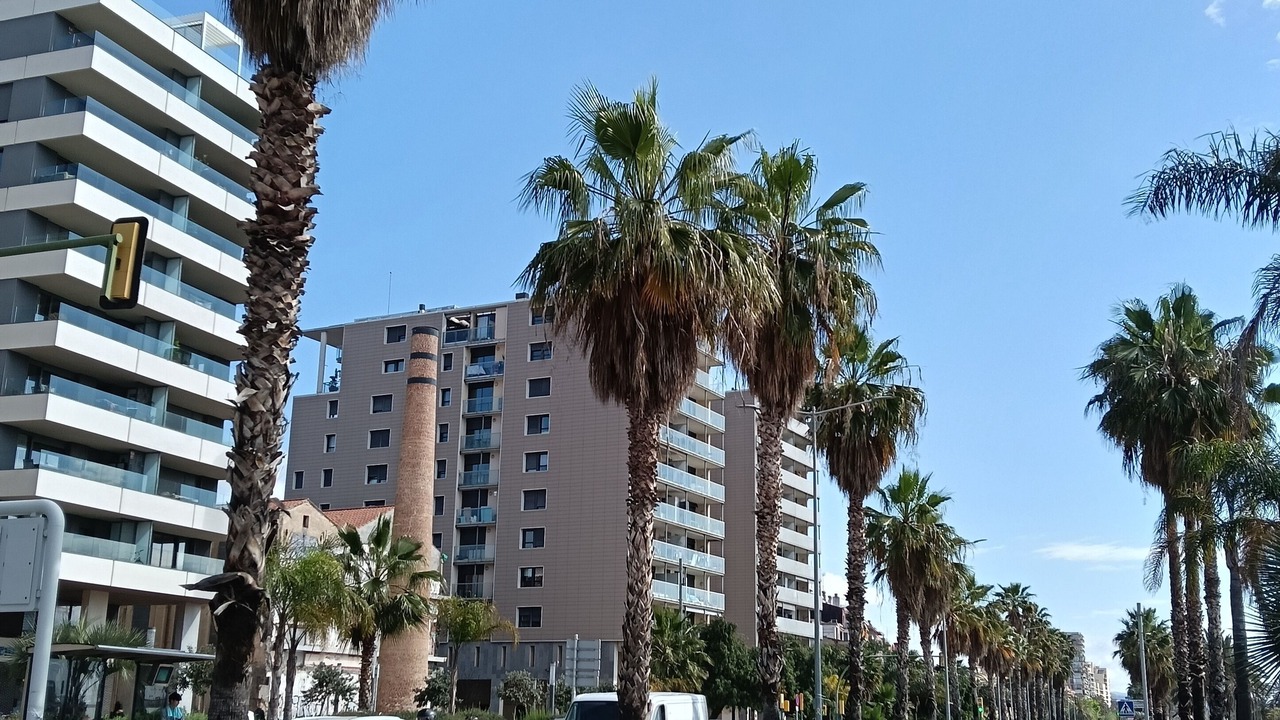 Photo of Others in Mataro