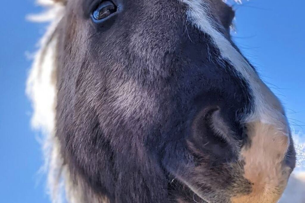 Photo of Others in Liskeard