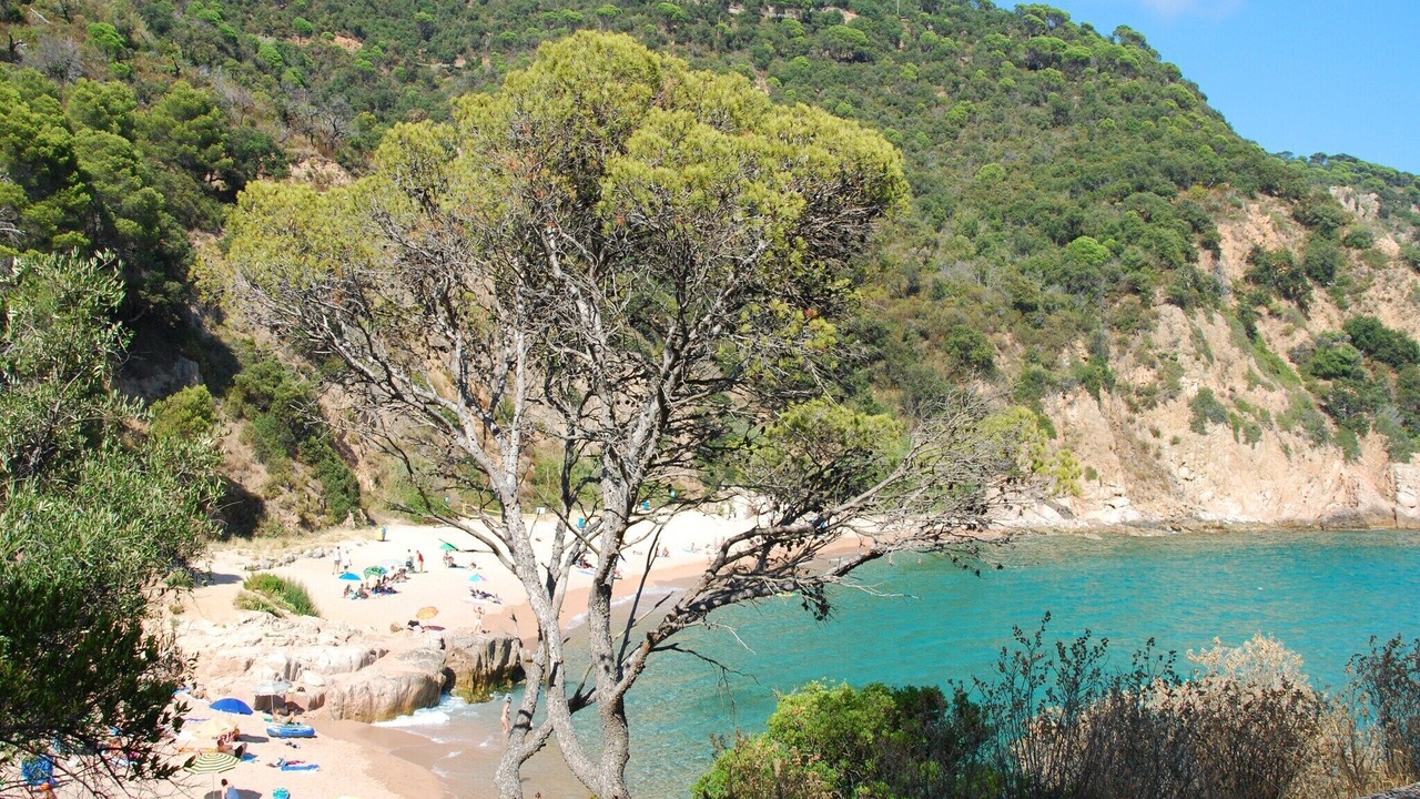 Photo of Others in Sant Feliu de Guixols