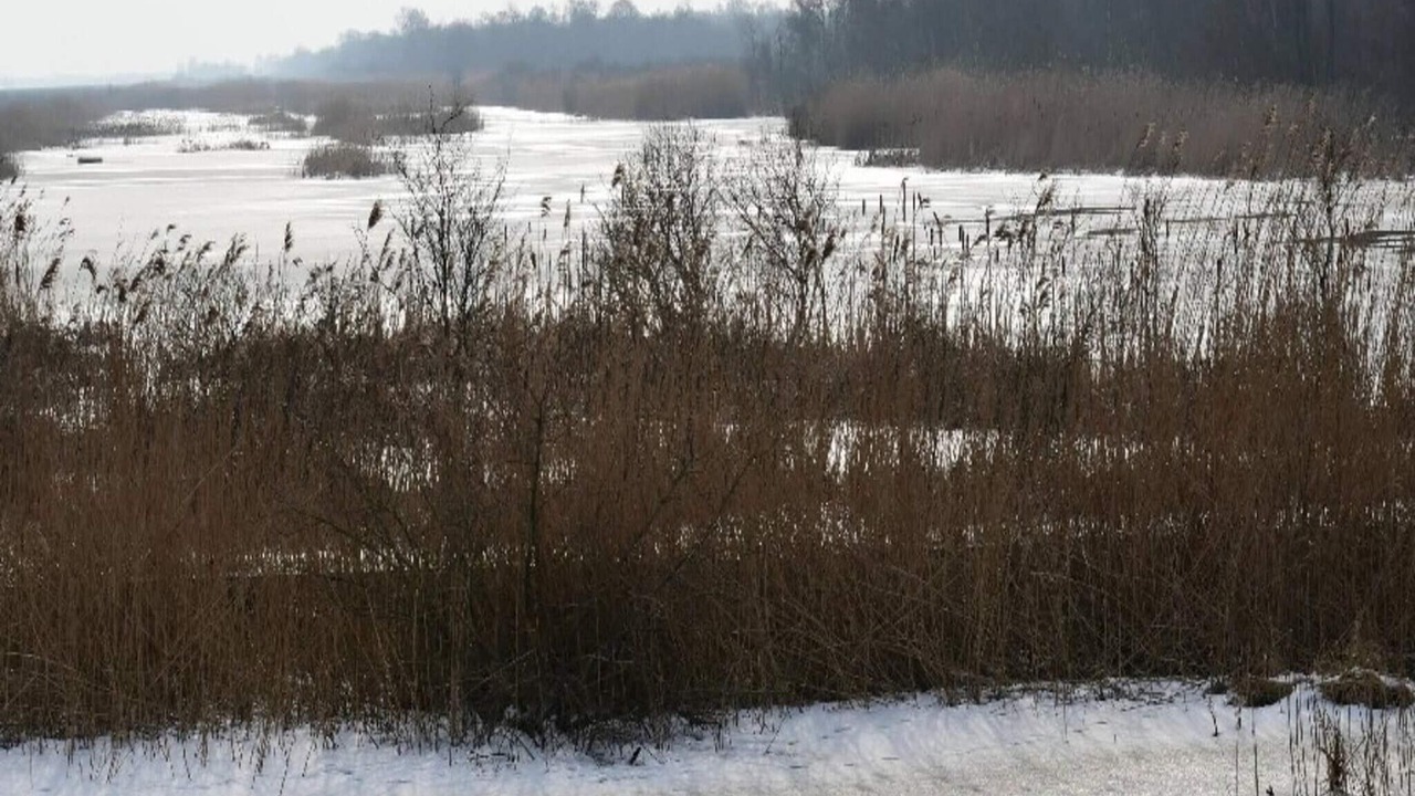 Photo of Outdoor in Rødhus