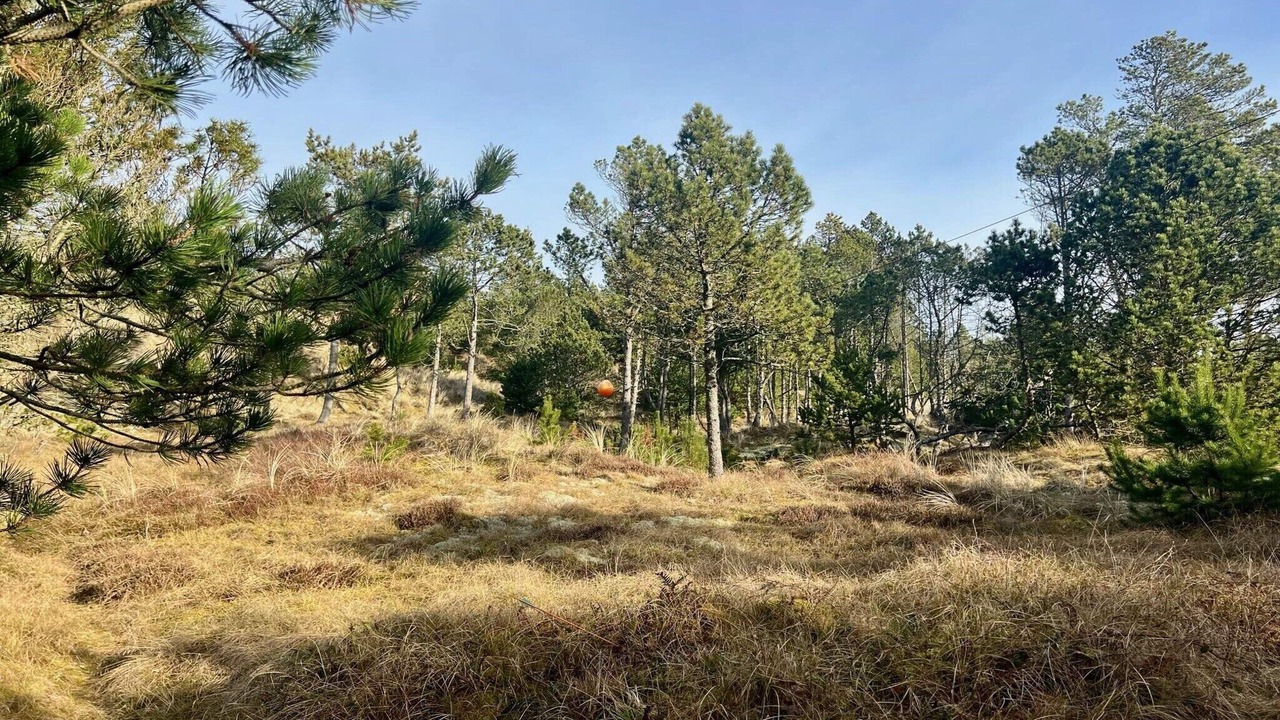 Photo of Others in Skiveren