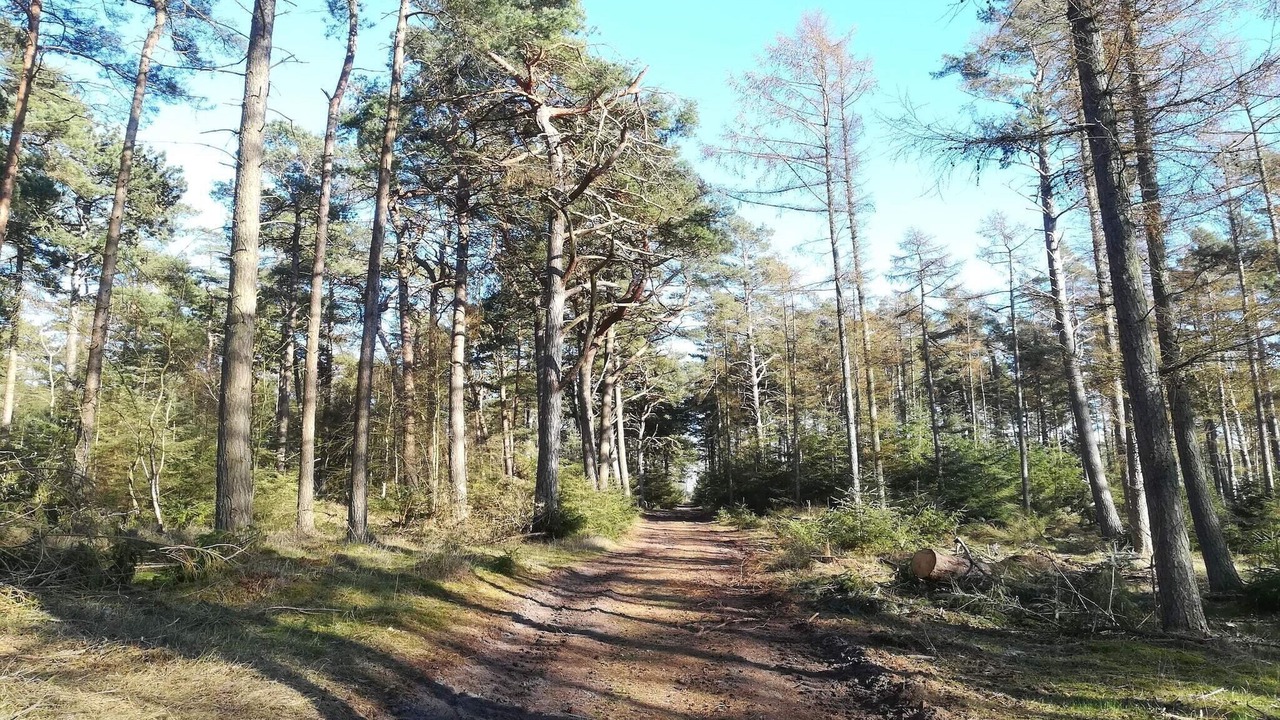Photo of Others in Gedesby