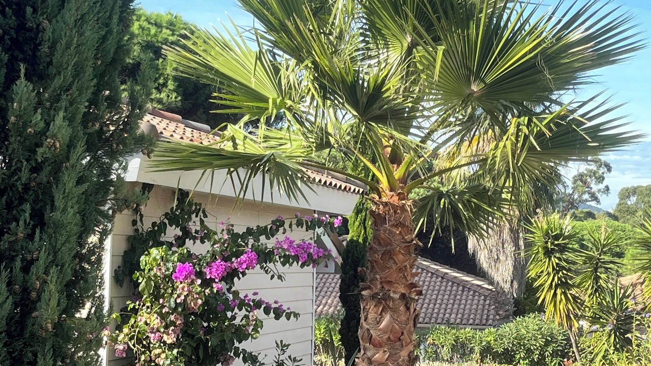 Photo of Outdoor in Gassin