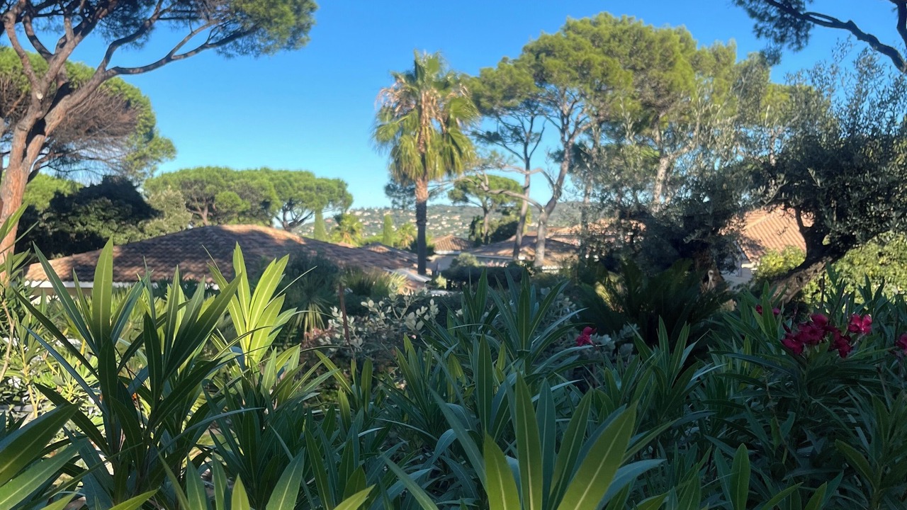 Photo of Outdoor in Gassin