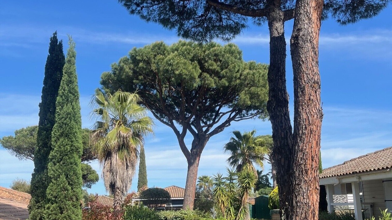 Photo of Outdoor in Gassin