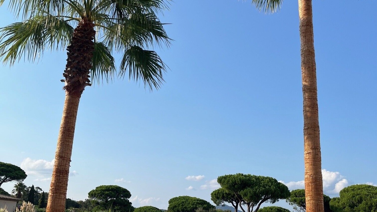 Photo of Outdoor in Gassin