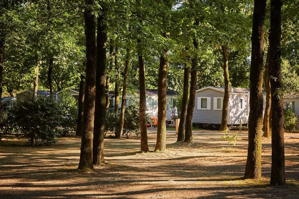 Photo of Outdoor in La Boissiere-de-Montaigu