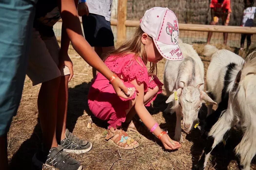 Photo of Others in La Boissiere-de-Montaigu