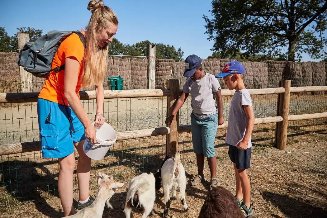 Photo of Others in La Boissiere-de-Montaigu