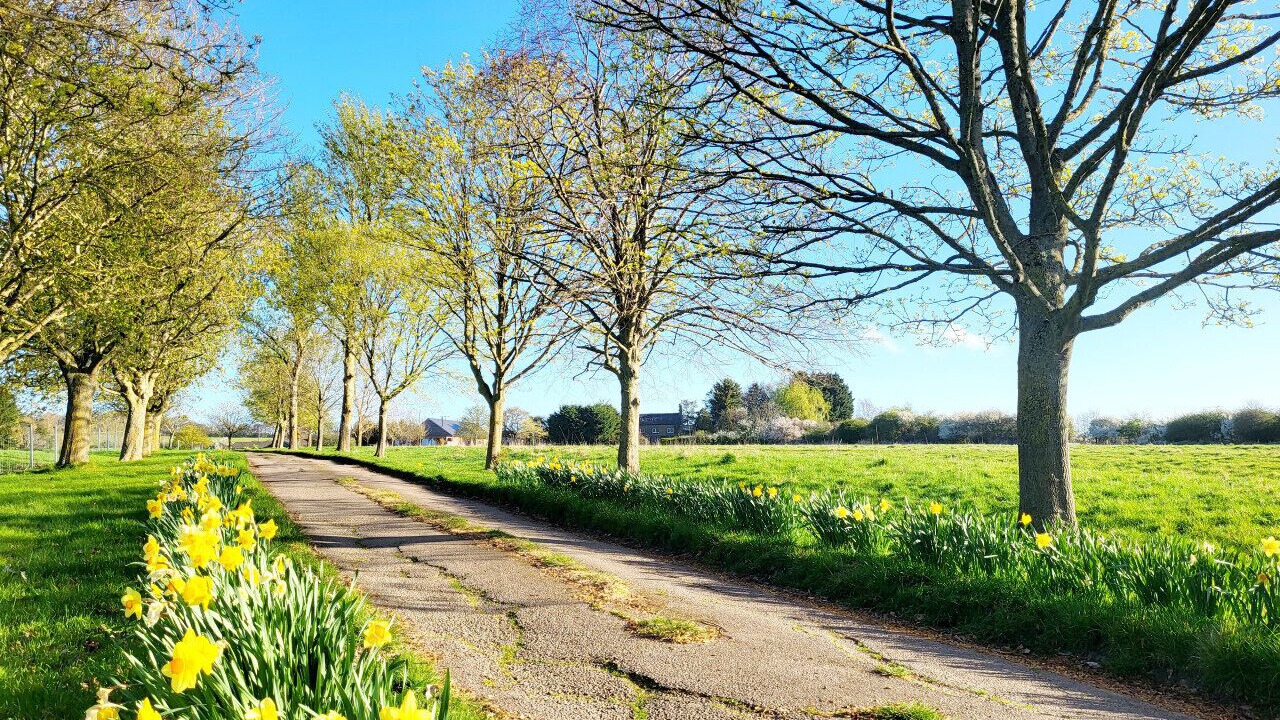 Photo of Others in Shipston on Stour