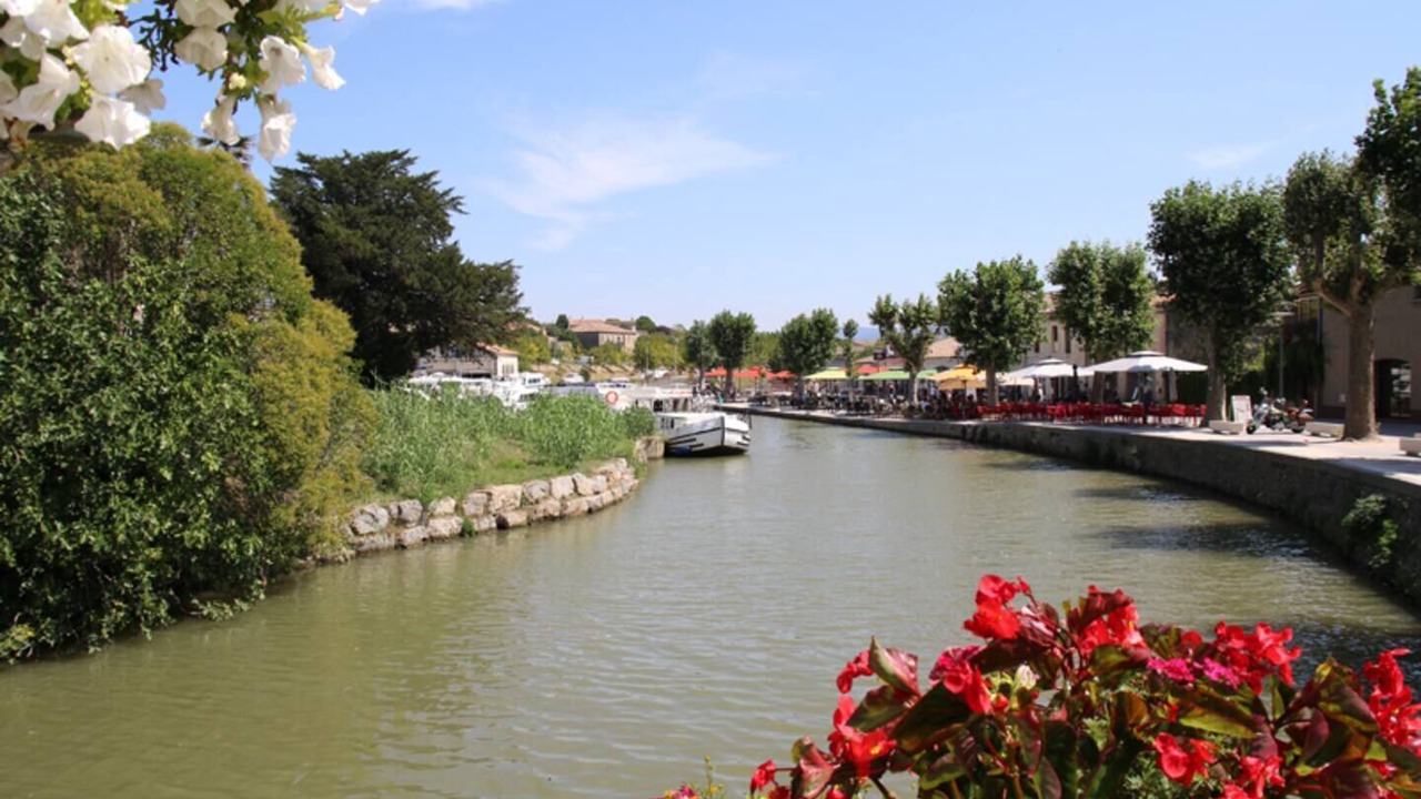 Photo of Others in Trebes