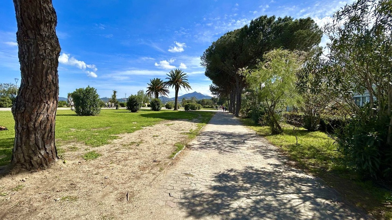 Photo of Outdoor in Plage d'Argeles
