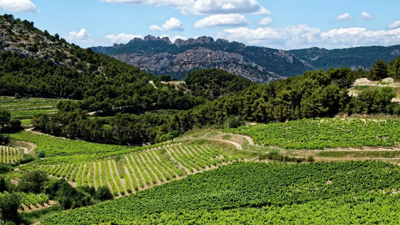 Photo of Others in Mondragon