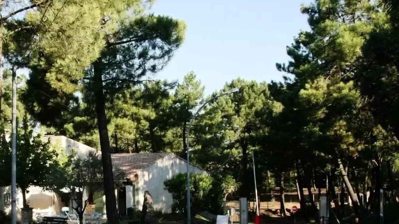 Photo of Others in Mondragon