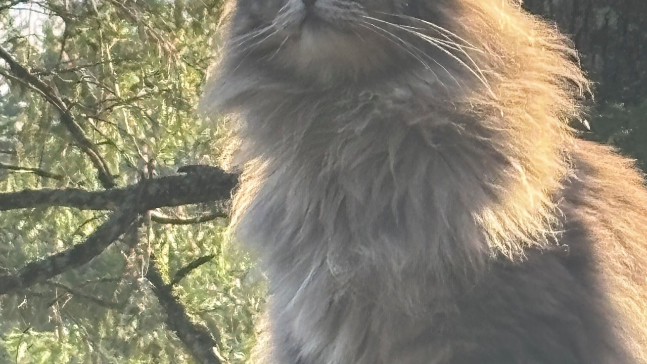 Photo of Others in Stevenson