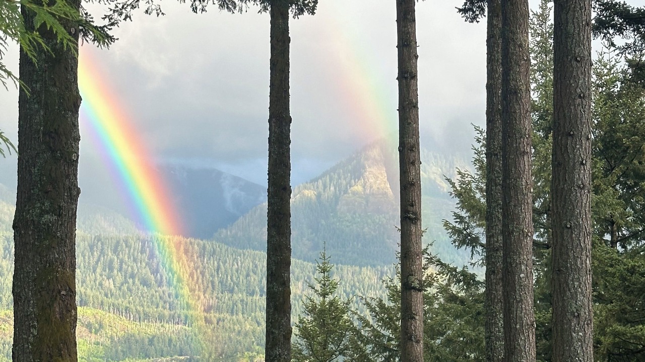 Photo of Others in Stevenson