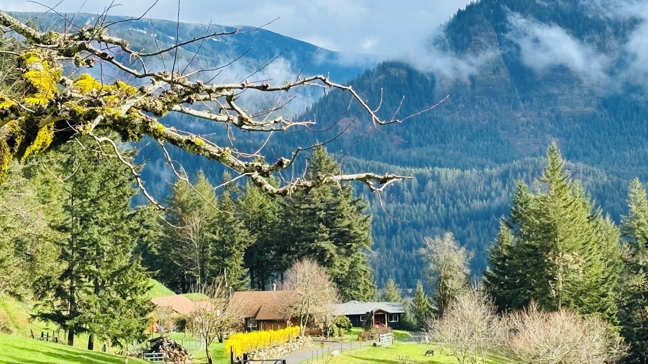 Photo of Others in Stevenson